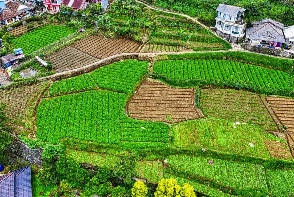 Harga Tanah Kekinian: Cara Membaca Nilai Lahan Sebelum Membeli