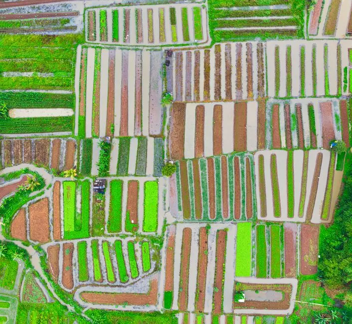 Ilustrasi lahan tanah kosong dengan plang dijual