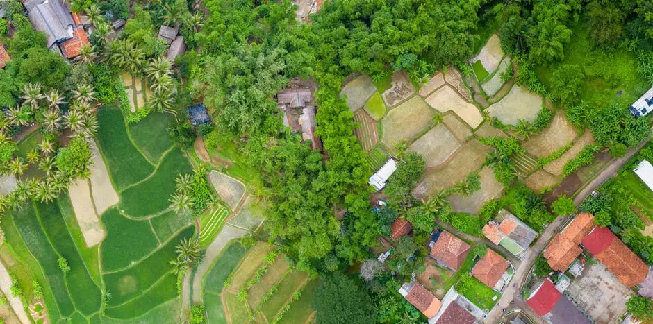 Harga Tanah Modal Kecil: Pengalaman Saya Membeli Kavling di Pinggir Kota